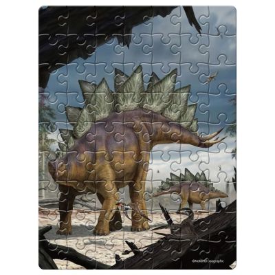 Пъзел National Geographic Kids в метална кутия Stegosaurus 63ч. 2в1 CubicFun DS1043h